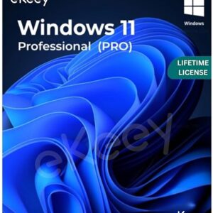 Windows 11 Installation